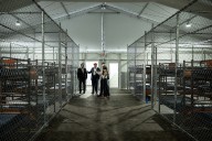 Judge Shuts Down 'Alligator Alcatraz'