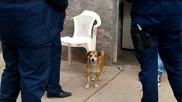 Una madre denunció a su hijo de 12 años por robos y lesiones a otro menor