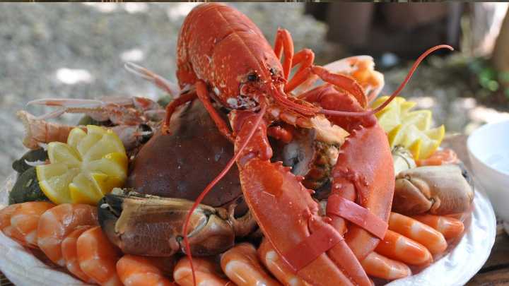 Una cuenta de 923 euros en un restaurante de Italia provoca indignación y obliga a intervenir a las autoridades