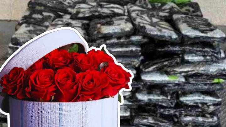 Descubren casi media tonelada de droga escondida en un cargamento de rosas