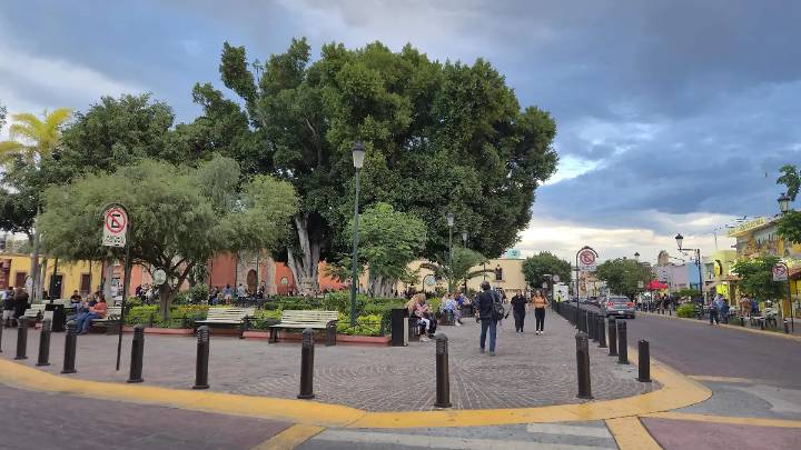 Recorrido gastronómico por el Jardín de San Juan de Dios: conoce su tradición, sabor y nuevas propuestas