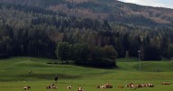 Nordic combined 101: Venue