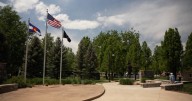 Fort Collins sells trees for $25 to boost city canopy