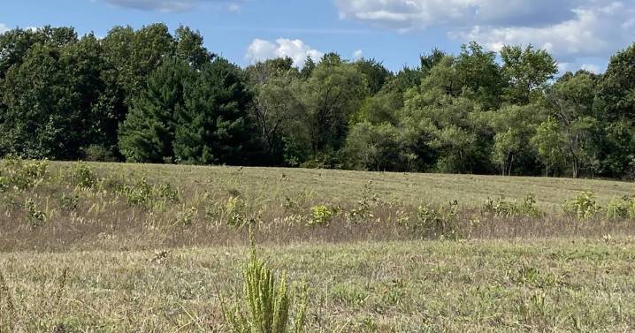 Skeletal remains discovered in Wautoma vacant lot