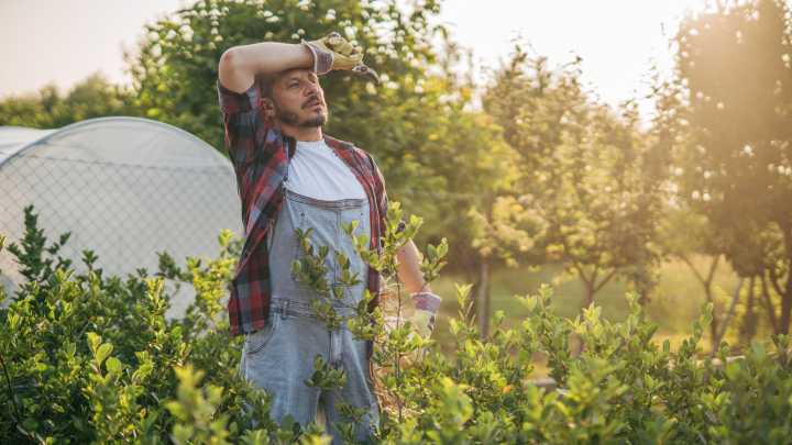 The Invasive Periwinkle Plant You Should Avoid Growing At All Costs