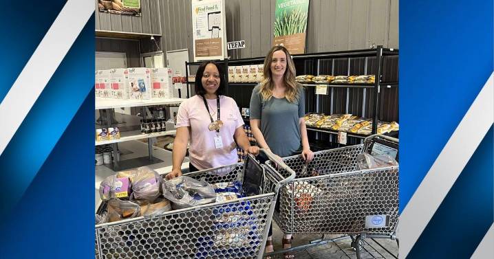 Arrowleaf secures grant to fight hunger in Vienna and Cairo, IL