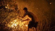 Última hora sobre los incendios forestales en España, en directo | Focos en activo, carreteras cortadas, líneas de trenes afectados y miles de desalojos