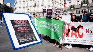 Querella de Pacma contra un ayuntamiento cacereño por no gestionar las colonias felinas