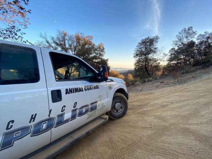 Unsanitary conditions found in Chico home, two arrests made