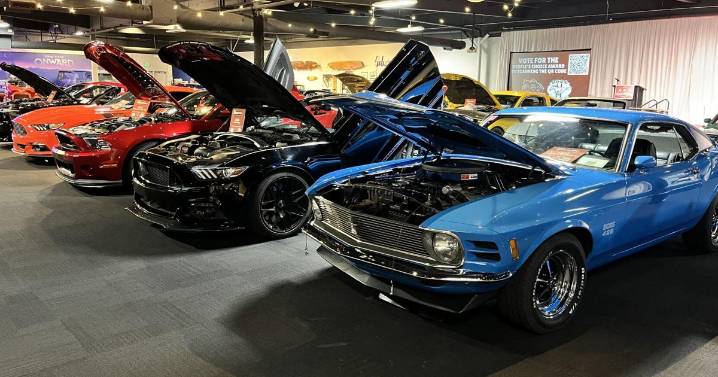 Latest Museum Cup event rolls into the National Automobile Museum