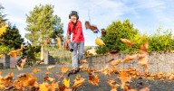 Leaf blowing sparks more wars with neighbours than anything else as Jeremy Clarkson rants