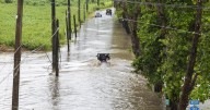 Erin weakens to Category 3 hurricane, but expected to strengthen