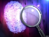 Human remains found in Meigs County woods during welfare check