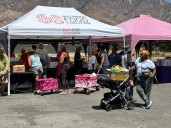 From Hollywood to Altadena: Free, fresh produce fills a real need for Eaton fire victims