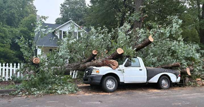 Storms topple large tree, crushing pickup truck and damaging other vehicles in Raleigh :: WRAL.com