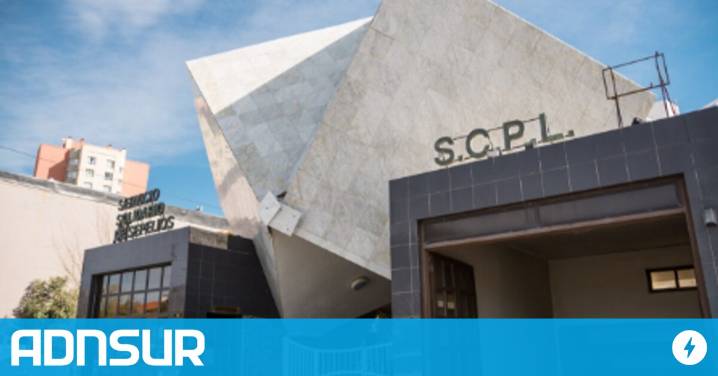 Este martes despedirán a la mujer que murió en el trágico accidente de Comodoro