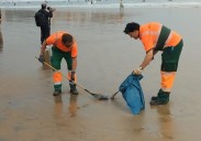 Aparecen más carabelas portuguesas en la playa de San Lorenzo