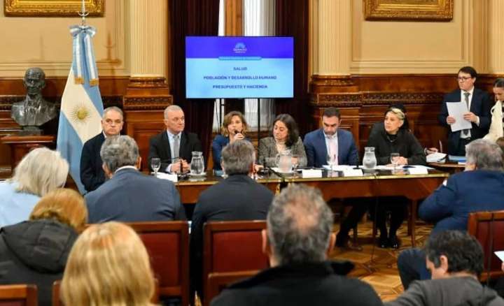 Senado: la oposición logró dictaminar la emergencia en pediatría