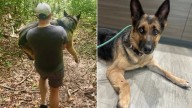 Hikers Stumble Upon Severely Injured Dog In South Carolina Woods, What They Do Next Warms Hearts