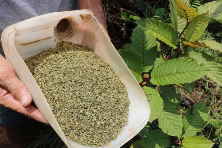 DeWine urges psychoactive drug to be made illegal