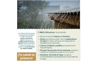 Alerta por fauna nociva tras lluvias