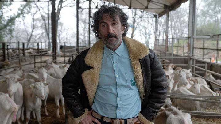 Luis Zahera vuelve a Netflix con una comedia muy salvaje: fecha de estreno, sinopsis y reparto completo de 'Animal'