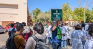 Perro que mordió a cinco estudiantes en la Unison será observado 10 días para descartar rabia y evaluar su comportamiento: Instituto de Bienestar Animal