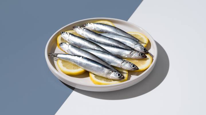 From ancient fish sauce to modern Caesar salads, the history of the humble anchovy