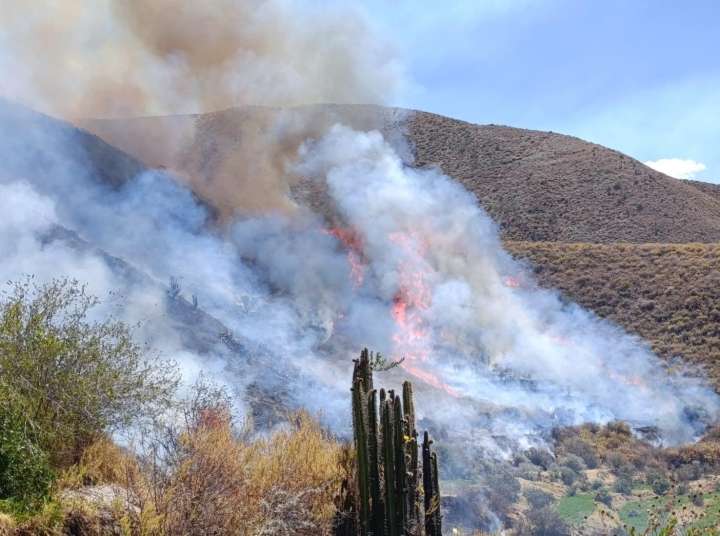 SENAMHI, incendios forestales, alerta roja Perú, sierra y selva, cambio climático, riesgo extremo, prevención ambiental