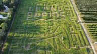Robinette's celebrates 175 years of Grand Rapids with 2025 corn maze