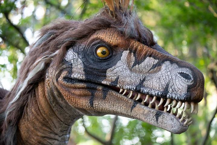 Garden Guy: Grow a Northwest Dinosaur Garden