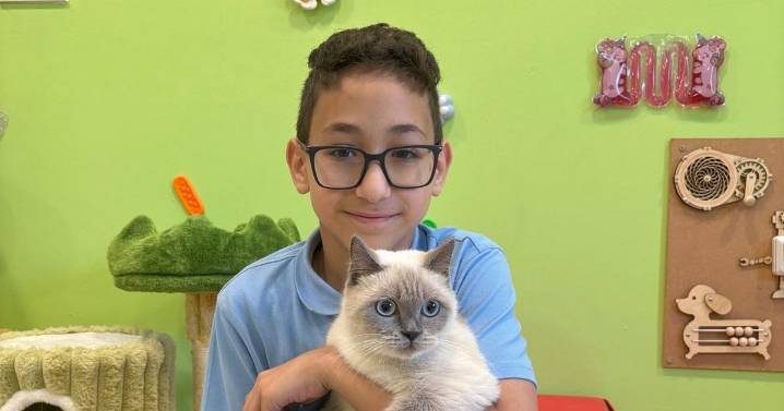 East Kilbride cat café with autism-friendly sessions set to open next month