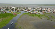Corpamag hace un llamado urgente al Gobieno Nacional para enfrentar la invasiòn de la Hydrilla en la Ciènaga Grande de Santa Marta