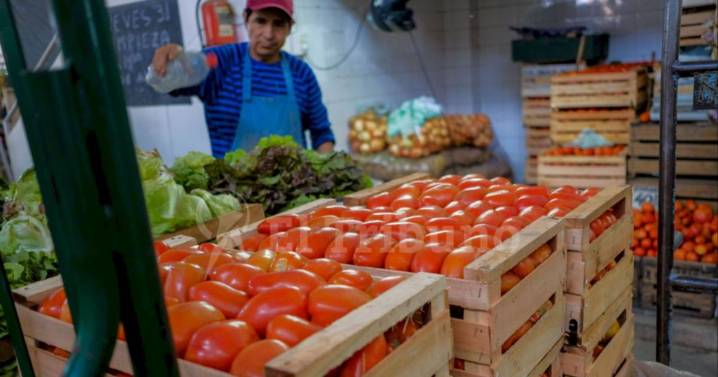 Productores salteños, en quebranto: alerta por la crisis del tomate