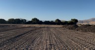 Construction begins on Pacific Wildlife Care's new building in San Luis Obispo