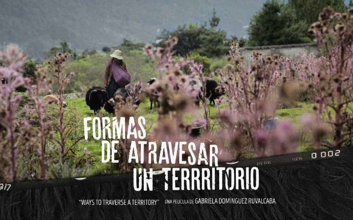 Formas de atravesar un territorio: una mirada a las mujeres tsotsiles
