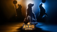 If You Own a Golden Retriever, They Could Be the Next AIR BUD
