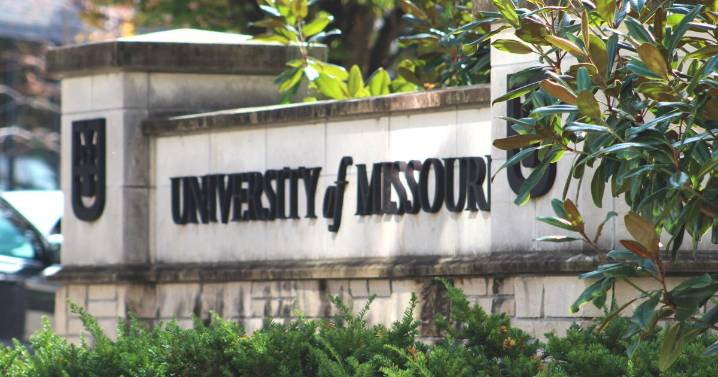 Preliminary MU enrollment numbers show another increase