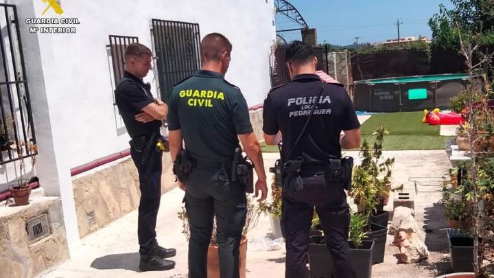 Alega que cultivaba romero y lavanda en Pedreguer para ocultar la plantación intensiva de marihuana de su chalé