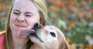 Animal experts shares sign to look out for which means your dog hates human kisses