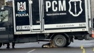 Hombre murió atropellado en su cumpleaños: su perro lo acompañó hasta su último suspiro en Argentina