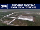 Judge stands by order to shut down Alligator Alcatraz