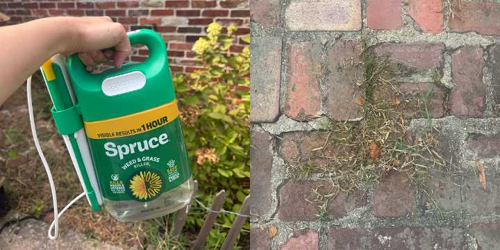 This Pet-Safe Weed Killer Is the Only Thing Saving My Garden