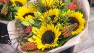 The Best Type Of Sunflower To Grow For The Most Gorgeous Bouquets