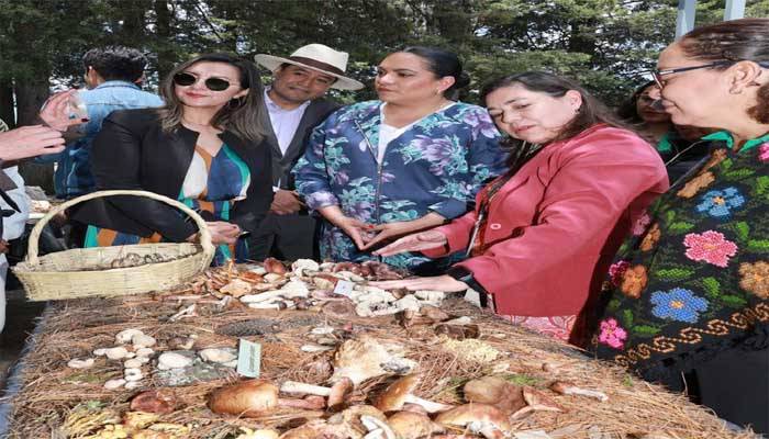 UAEMéx fortalece identidad biocultural con exposiciones de hongos, biodiversidad y etnobiología