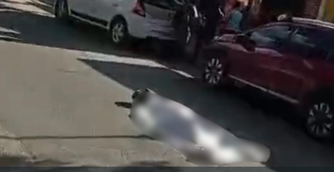 ¡Casco aplastado, muerte instantánea! Tragedia en Símbolos Patrios