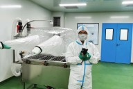 Relevante experimento. El primer trasplante de un pulmón animal en una persona funciona durante nueve días