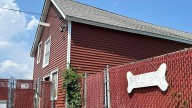 Ruff House pet rescue faces new complaints on animal care