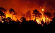 Wildfire: Industrial and agricultural operators must take more precautions, says NS government