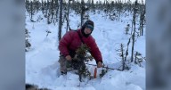 Manitoba search for missing Norwegian hiker underway by air, foot and boat